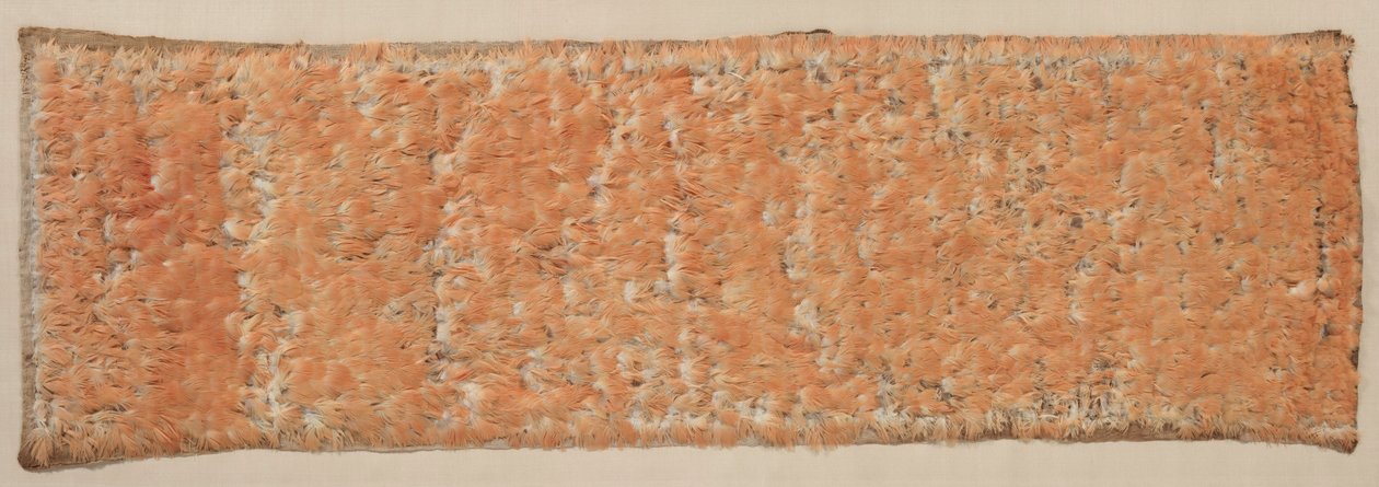 Painel emplumado, 600-1500. de Unbekannt