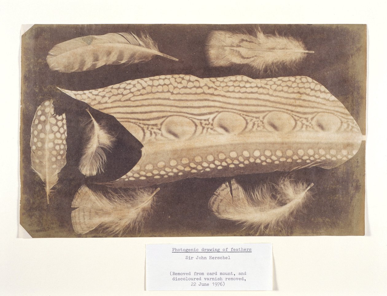 Penas, c 1840 de Unbekannt