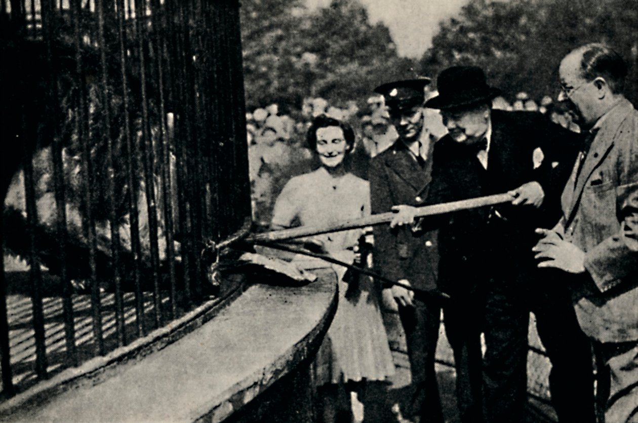 Rota de alimentação, The Pinner Lion, 1940, 1945. de Unbekannt