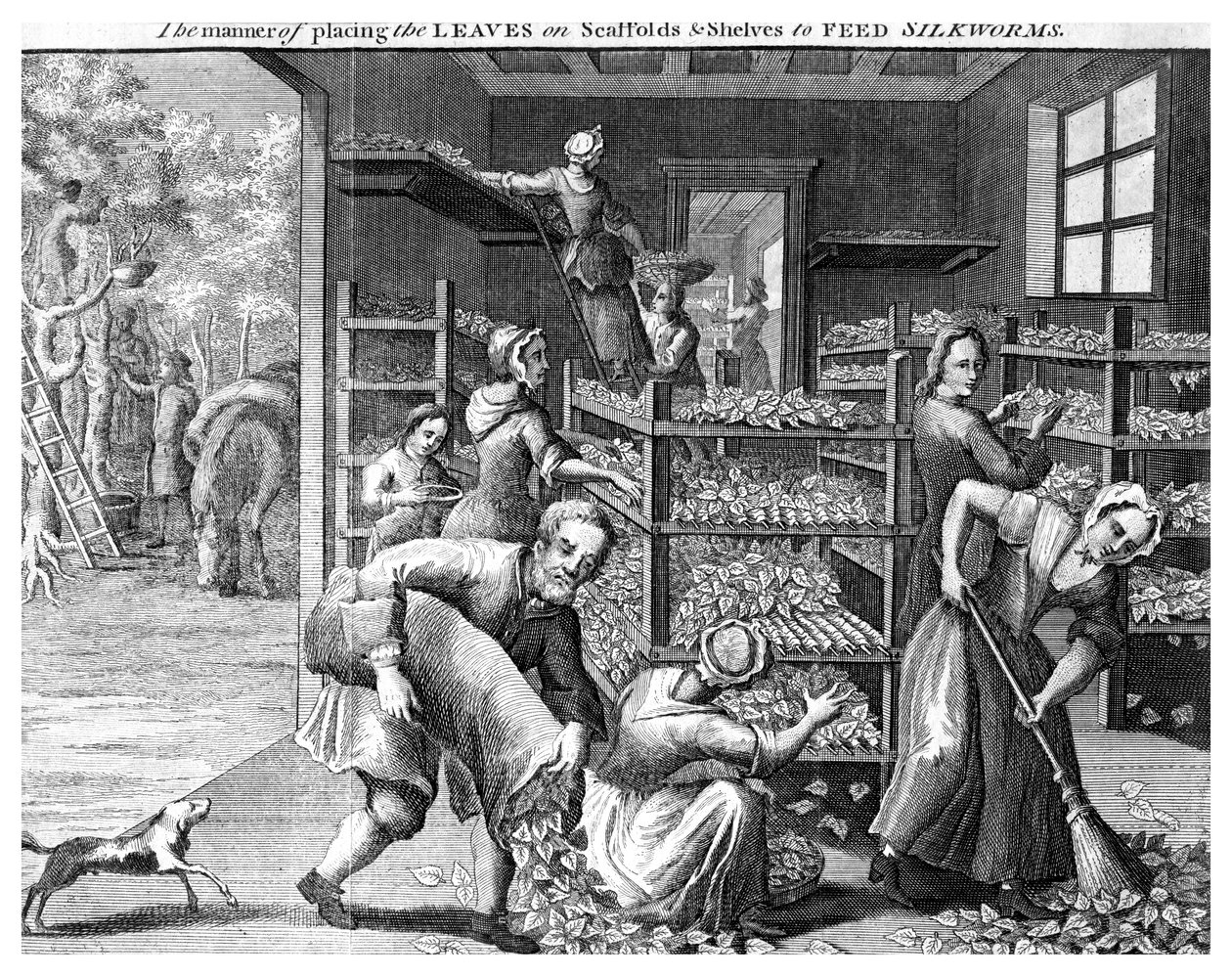 Alimentando bichos-da-seda, século XVIII de Unbekannt