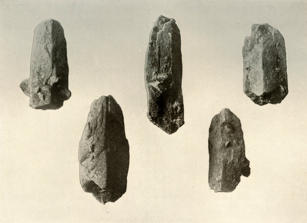 Cristais de feldspato do cume do tamanho natural do Monte Erebus, 1909 de Unbekannt