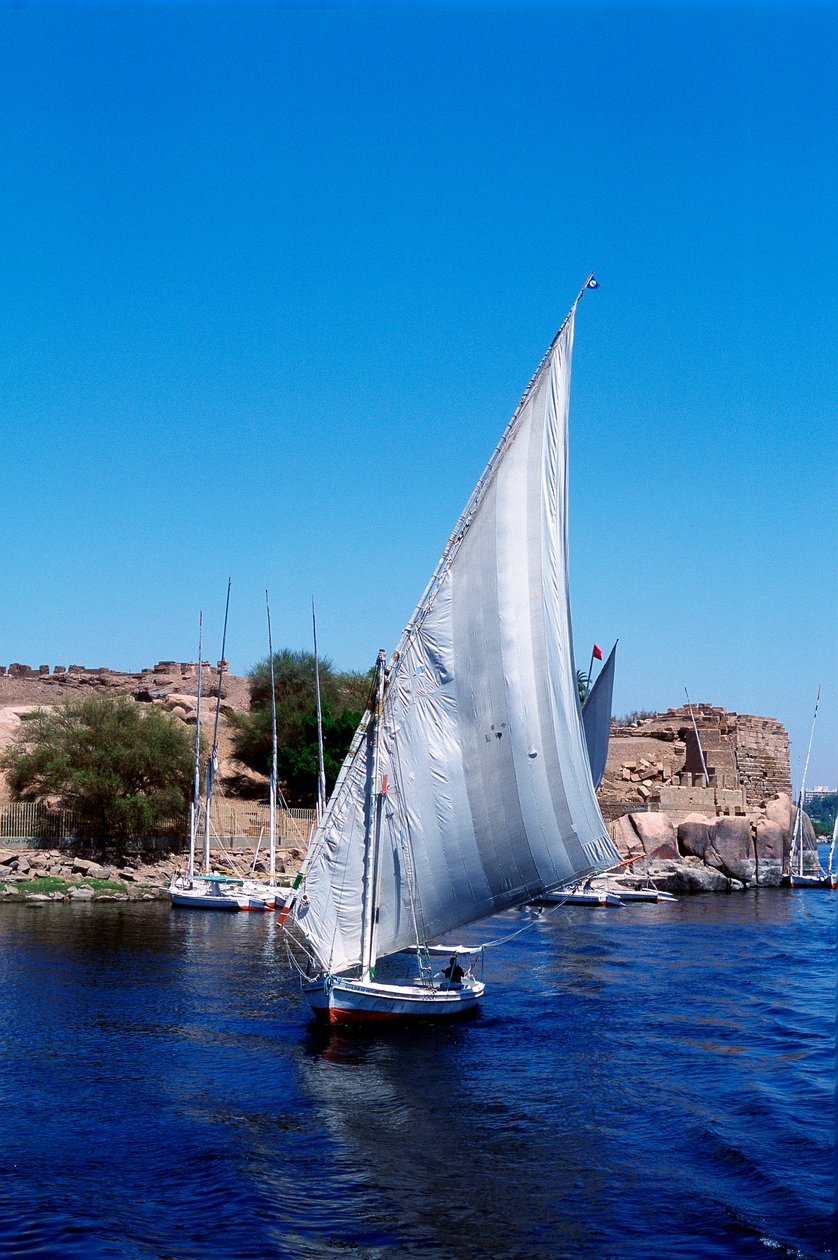 Feluccas no Nilo, Ilha Elefantina, perto de Aswan, Egito moderno de Unbekannt