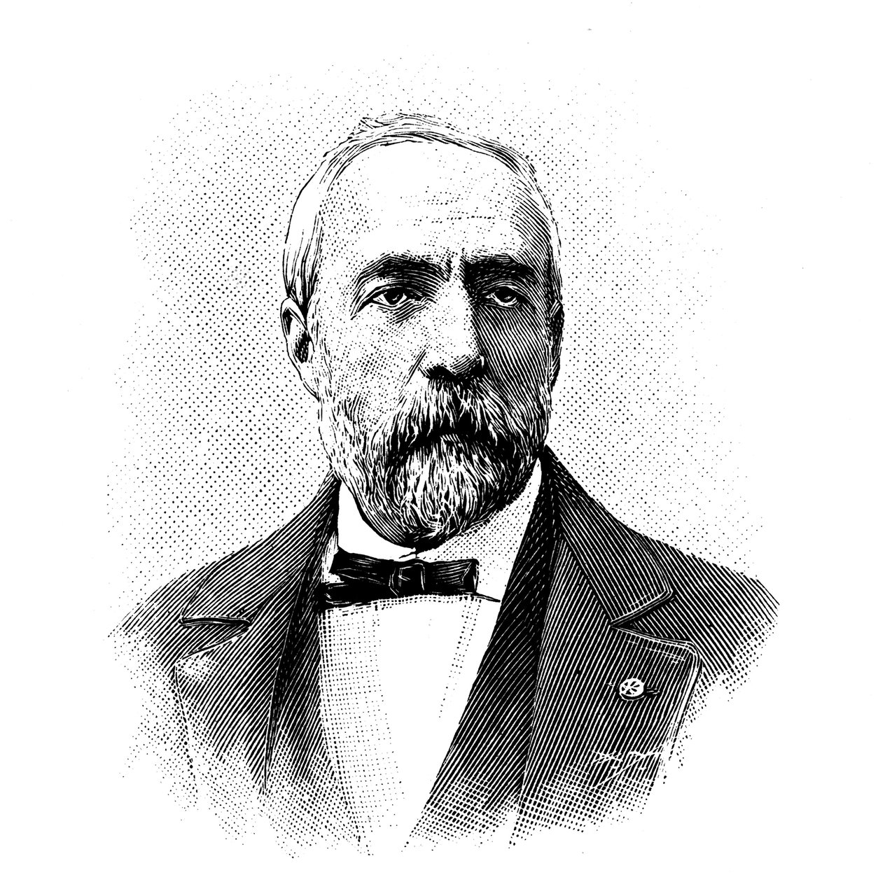 Ferdinand Fouque, geólogo e petrólogo francês, 1904. de Unbekannt