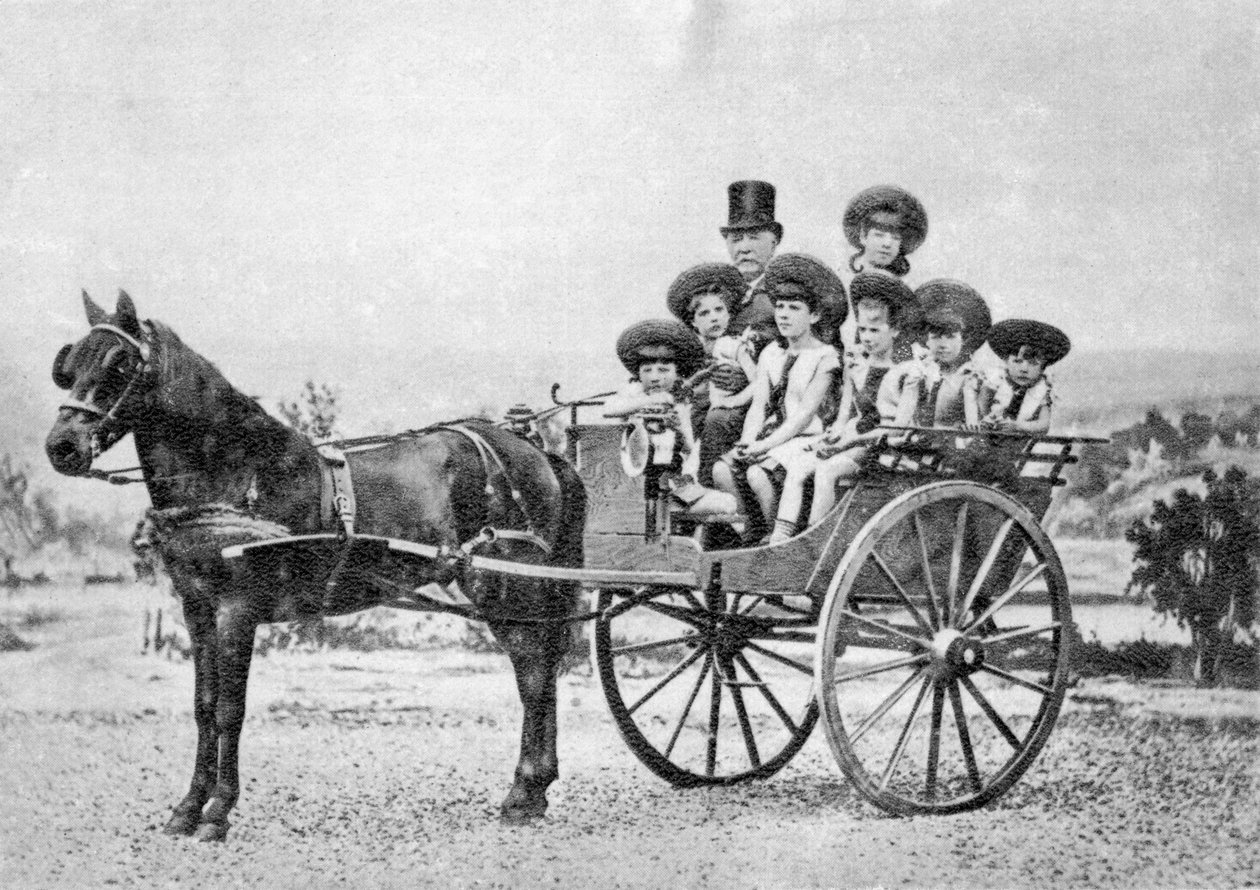 Ferdinand de Lesseps, diplomata e empresário francês, 1875 de Unbekannt