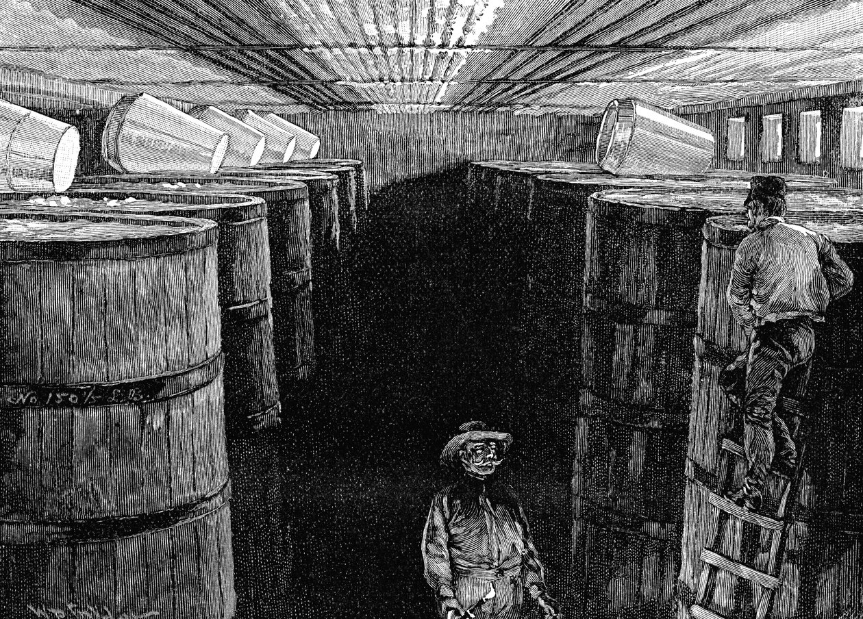 Adega de fermentação em uma cervejaria americana, 1885 de Unbekannt
