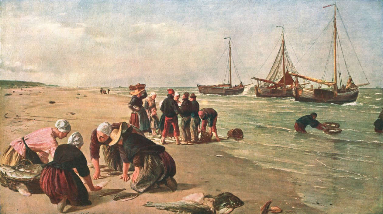 Peixes do Dogger Bank, Scheveningen, Holanda, 1870, c1902. de Unbekannt