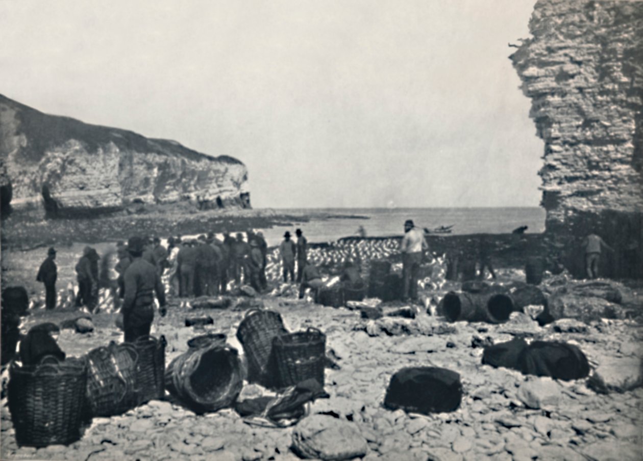 Flamborough - Os pescadores em ação, 1895 de Unbekannt