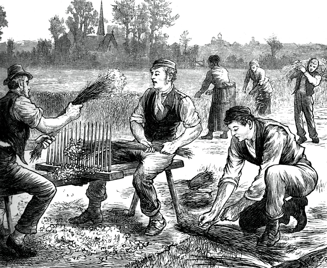 Ondulação de linho, c1880 de Unbekannt