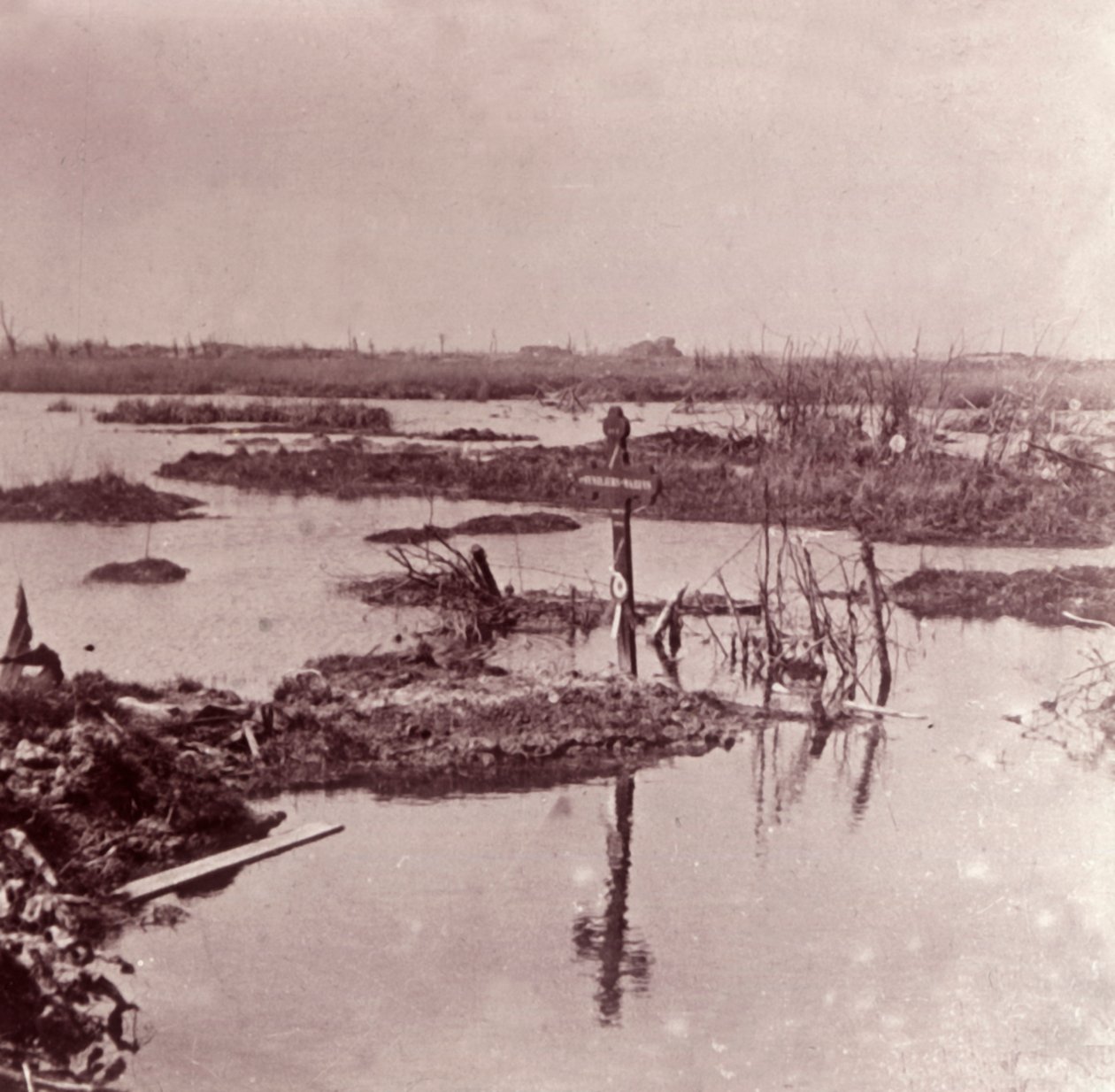 Inundações, Flandres, Bélgica, c1914-c1918 de Unbekannt