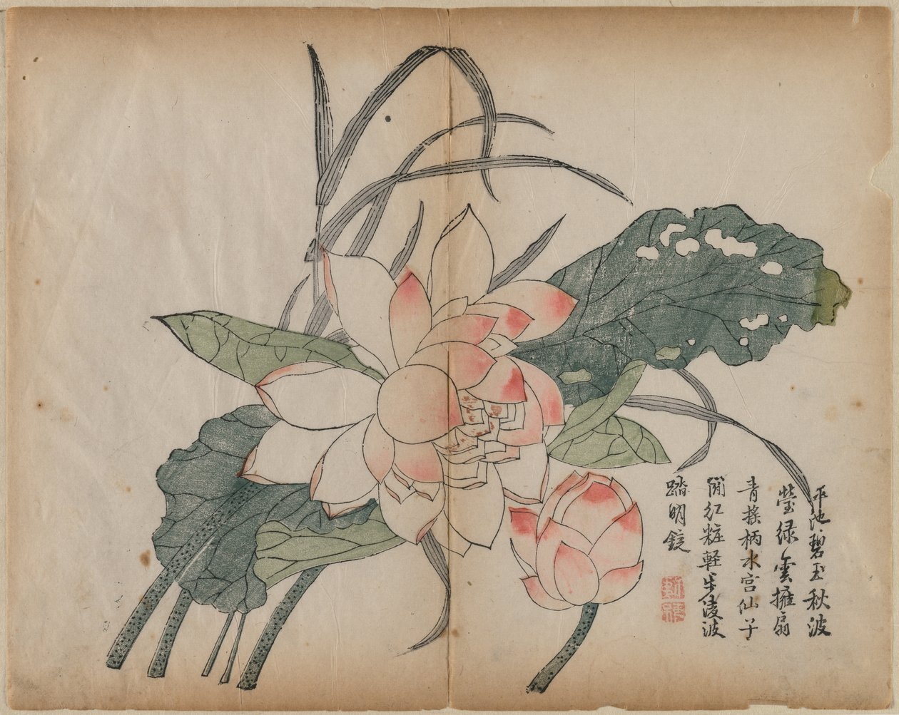 Lotus e botão de florescência, século XVIII. de Unbekannt