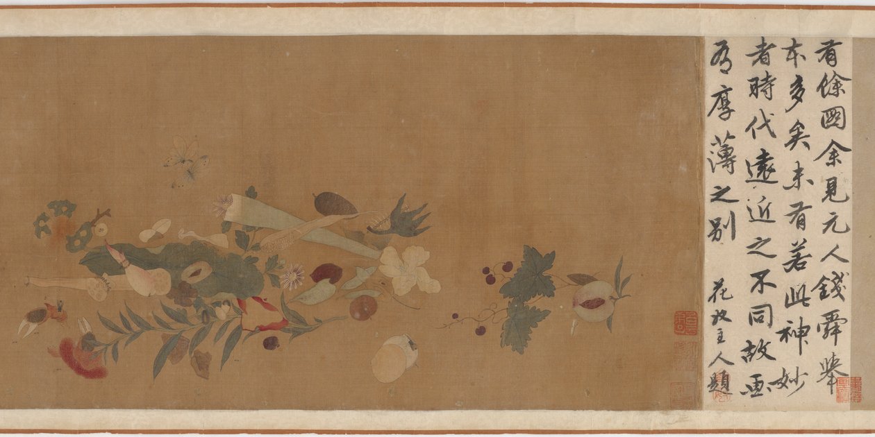 Flores, frutas, conchas e insetos, 1368-1644. de Unbekannt