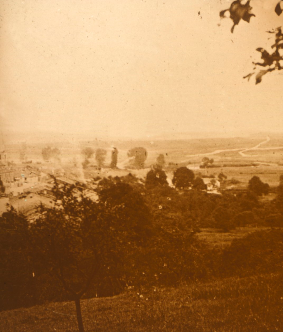 Floresta de Argonne, norte da França, c1914-c1918 de Unbekannt