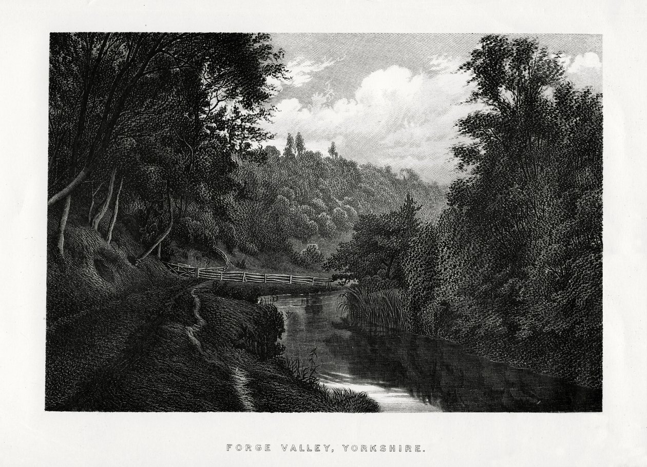 Forge Valley, Yorkshire, 1896 de Unbekannt