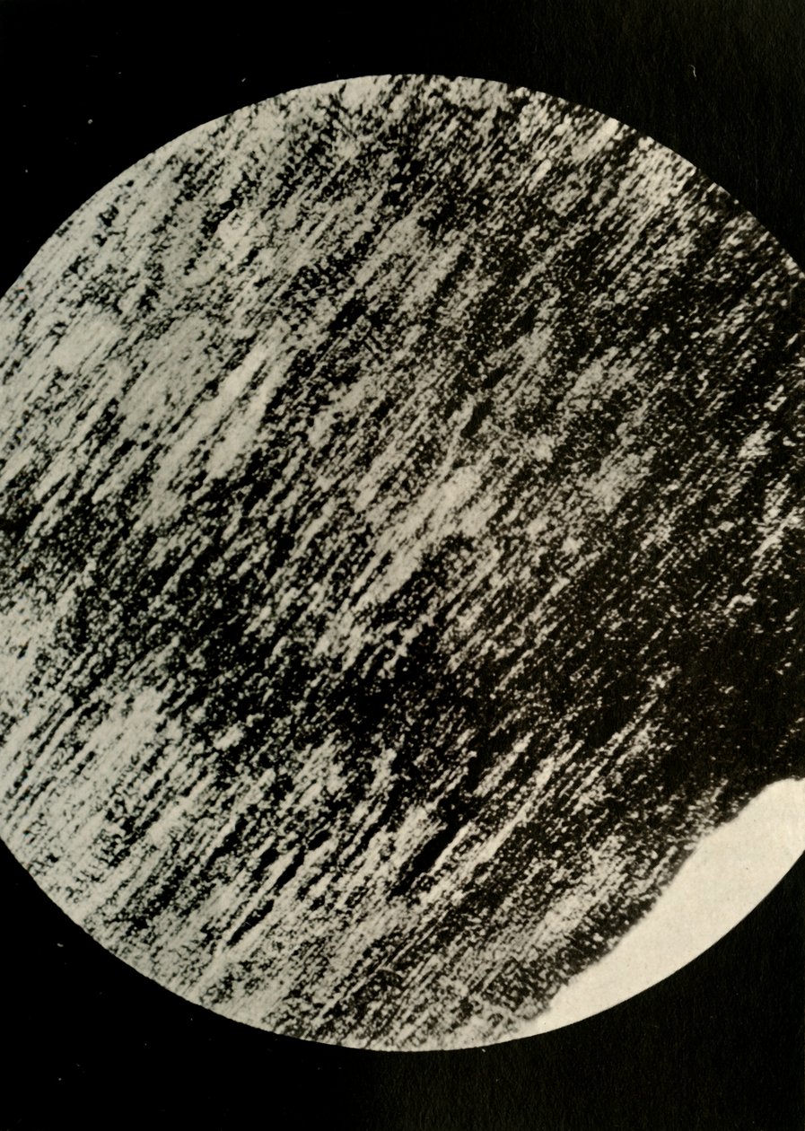 Madeira fóssil no arenito, de uma moraine no latitude 85 ° sul, c1908, 1909. de Unbekannt
