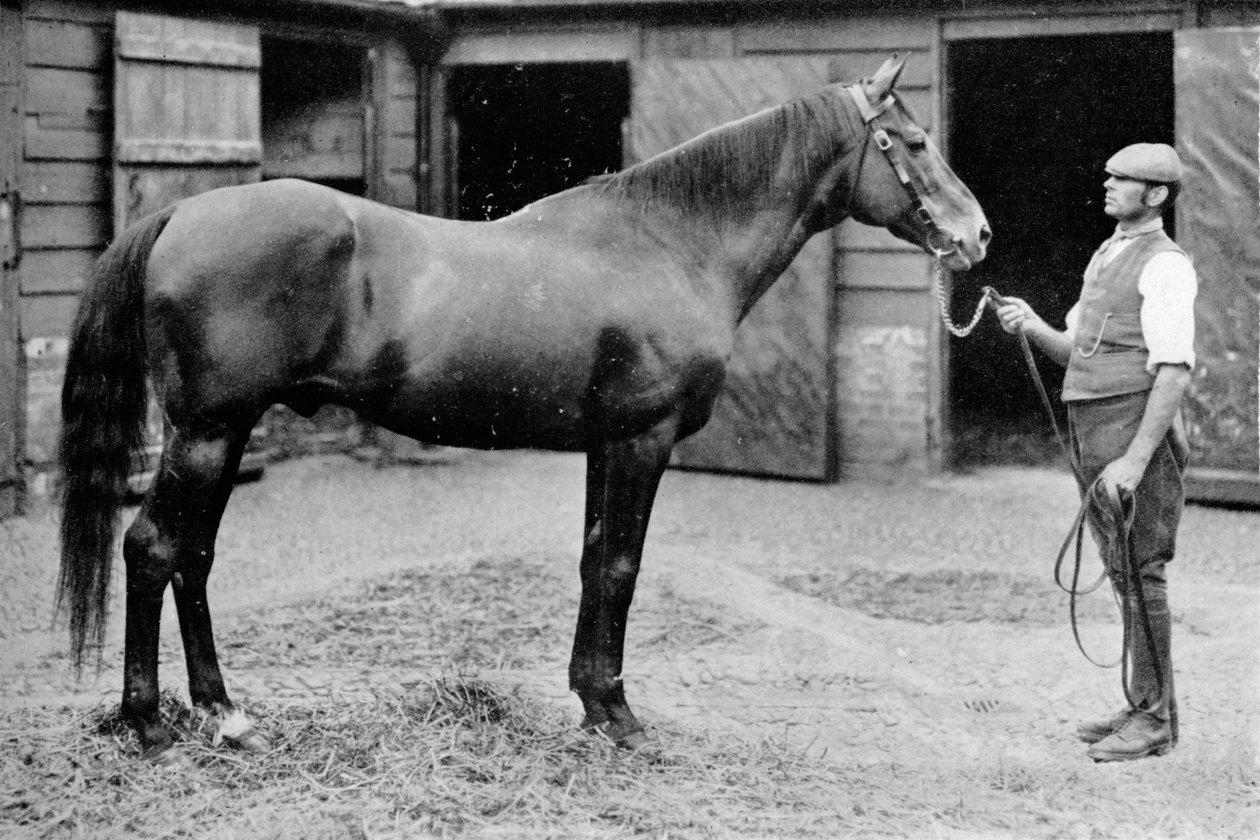 Foxhall, 1880-1904, 1911 de Unbekannt