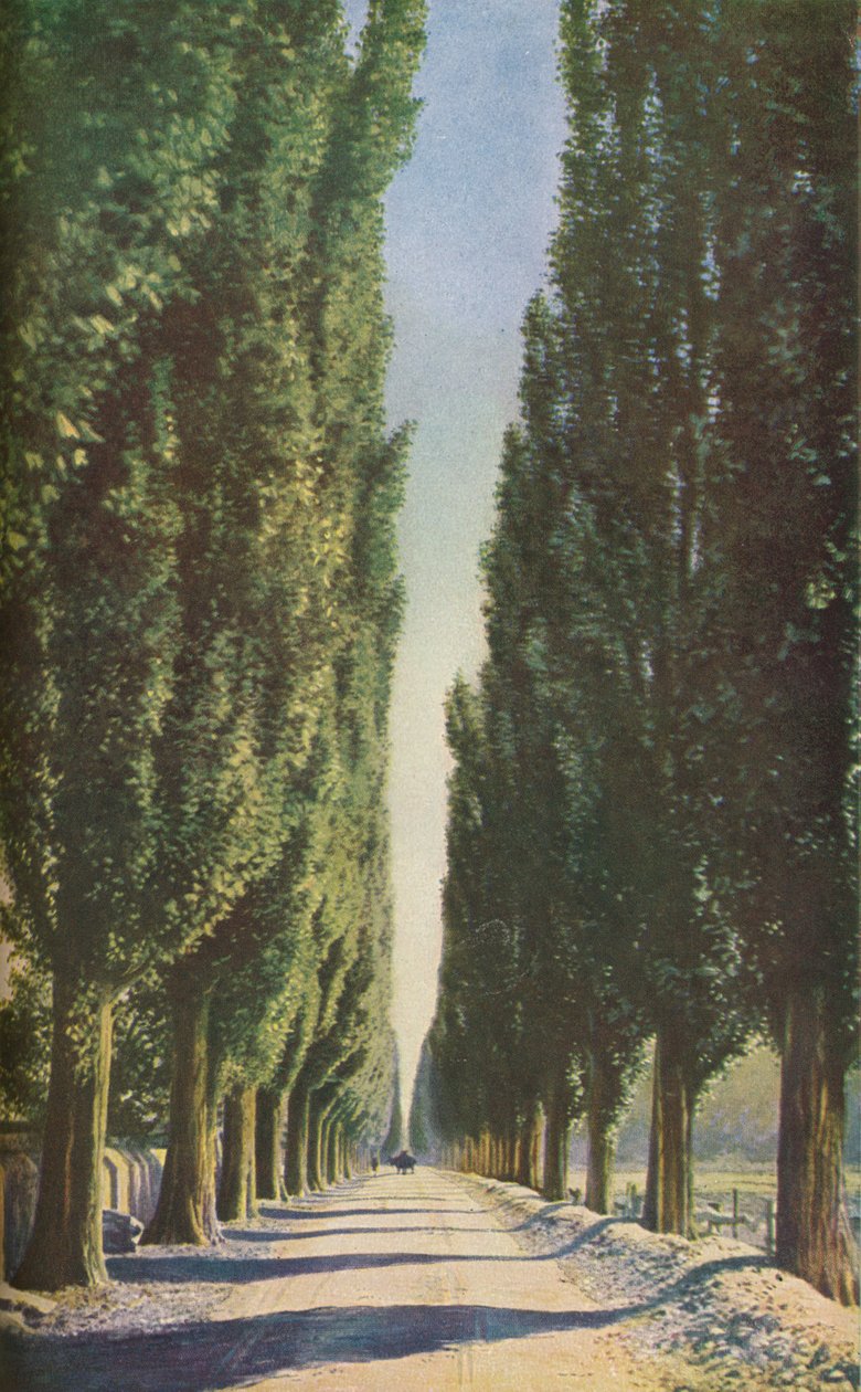 França, c1930s de Unbekannt