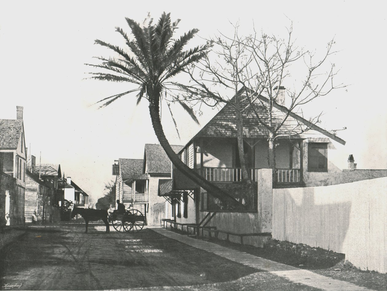 Francis Street, Santo Agostinho, EUA, 1895. de Unbekannt