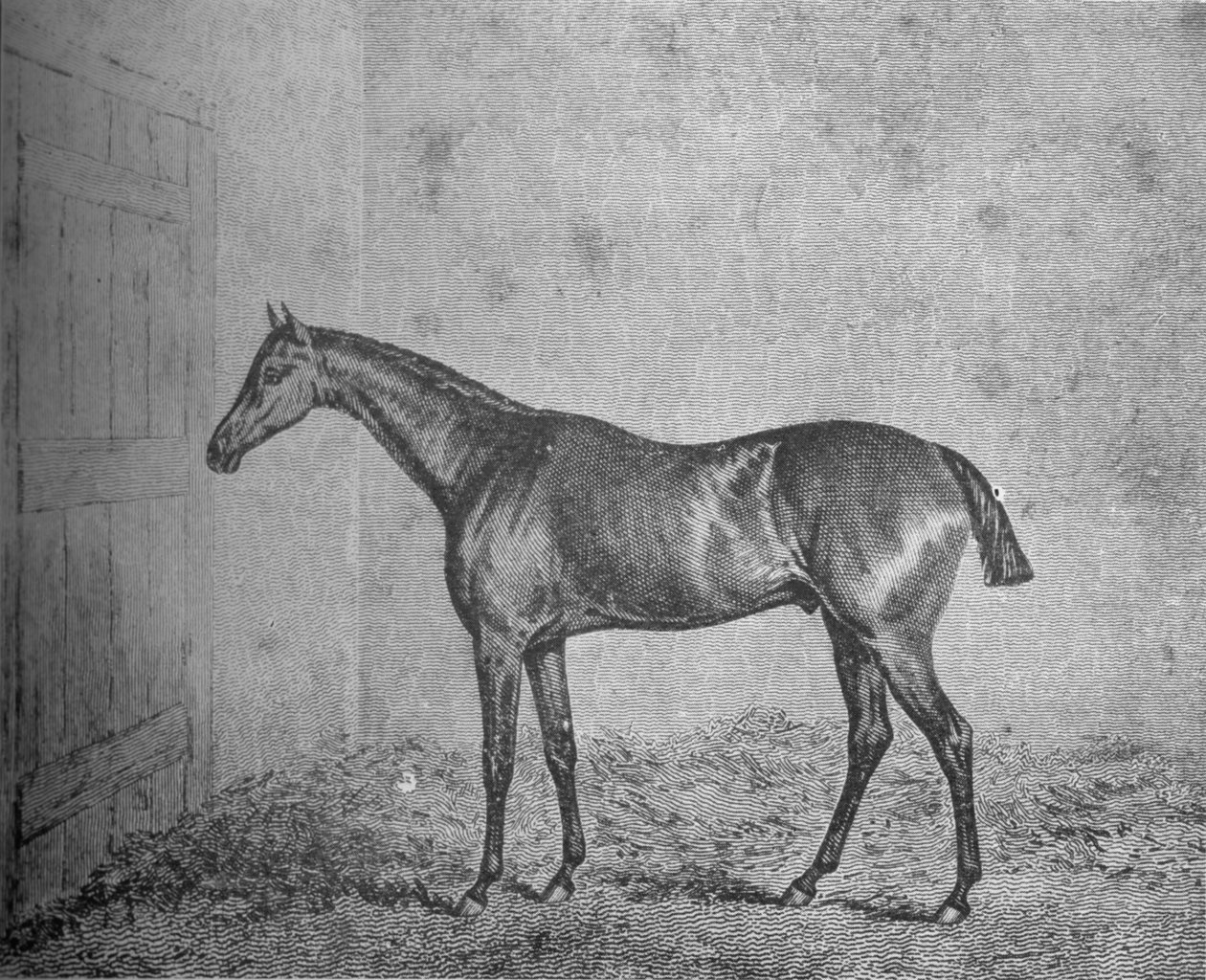 Frederick, 1826-1837, 1911 de Unbekannt