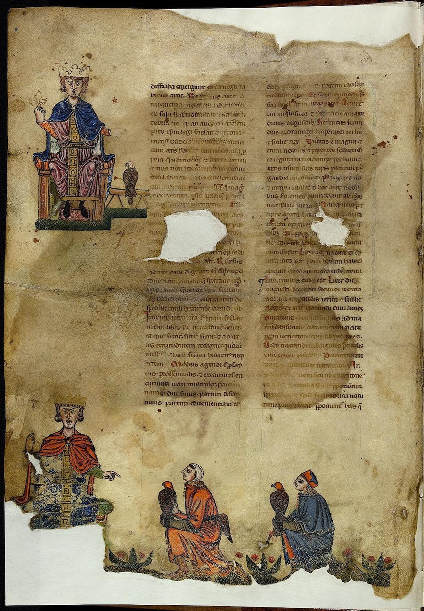 Frederick 2. A arte da caça com pássaros na arte da caça com pássaro de Unbekannt