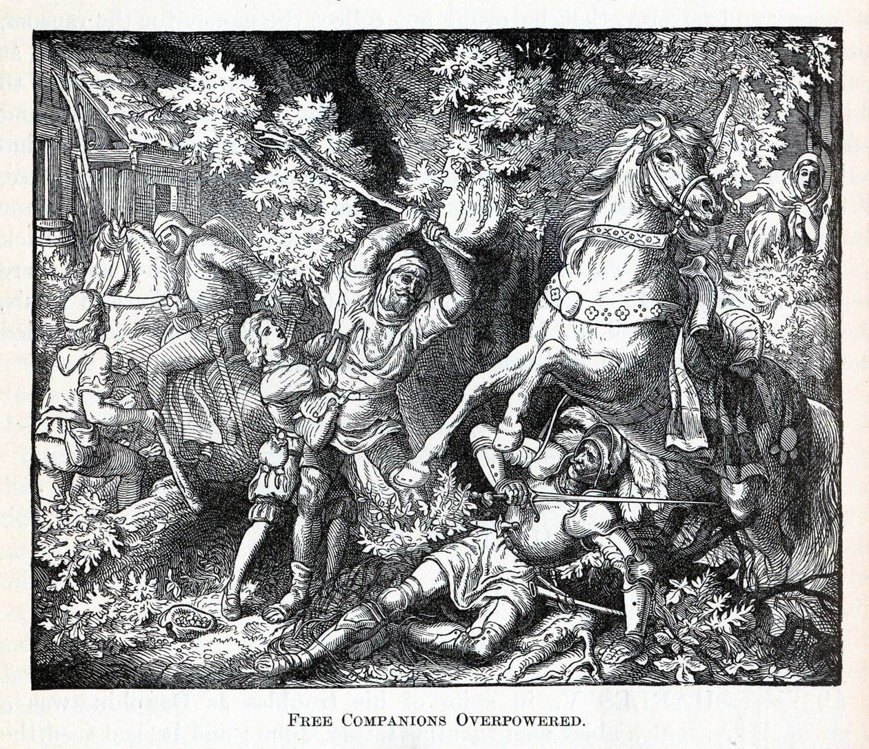 Companheiros Livres Sobrecarregados, 1882 de Unbekannt