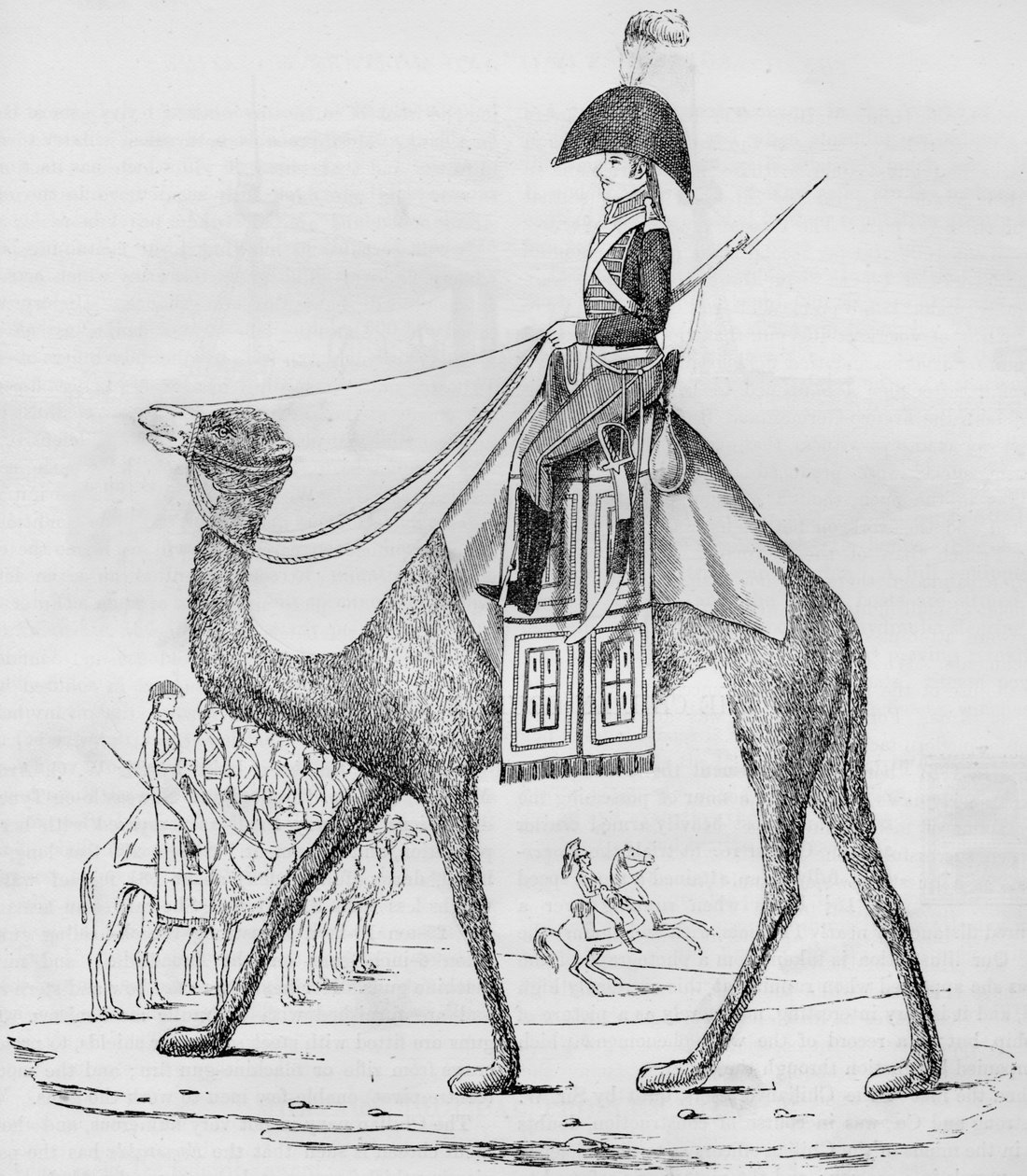 Regimento Domedário Francês. Capturado com um comboio no deserto da Líbia, maio de 1801, 1884 de Unbekannt
