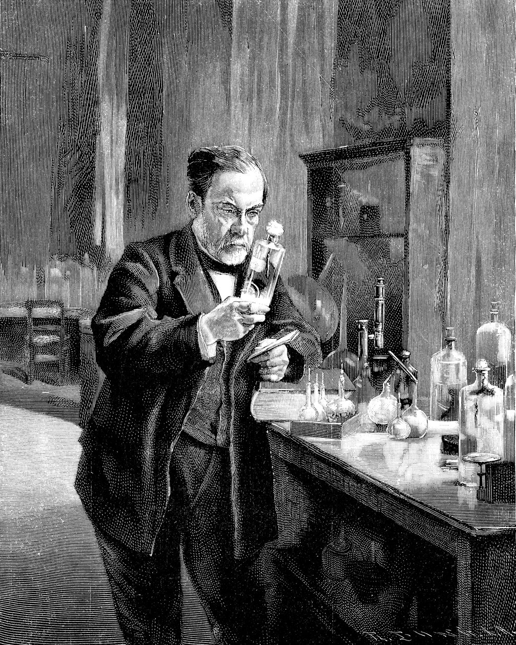 Microbiologista e químico francês Louis Pasteur 18221895 de Unbekannt