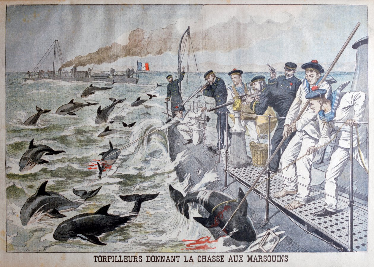 Barcos de torpedo franceses que caçam botos, 1903 de Unbekannt