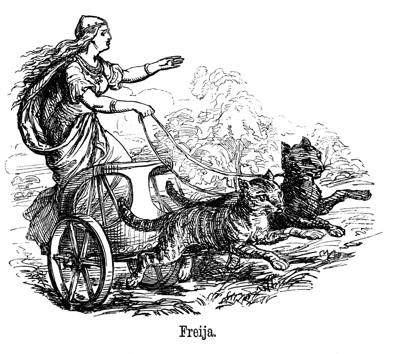 Deusa do amor de Freya Frigg na mitologia escandinava, dirigindo sua carruagem puxada por gatos de Unbekannt