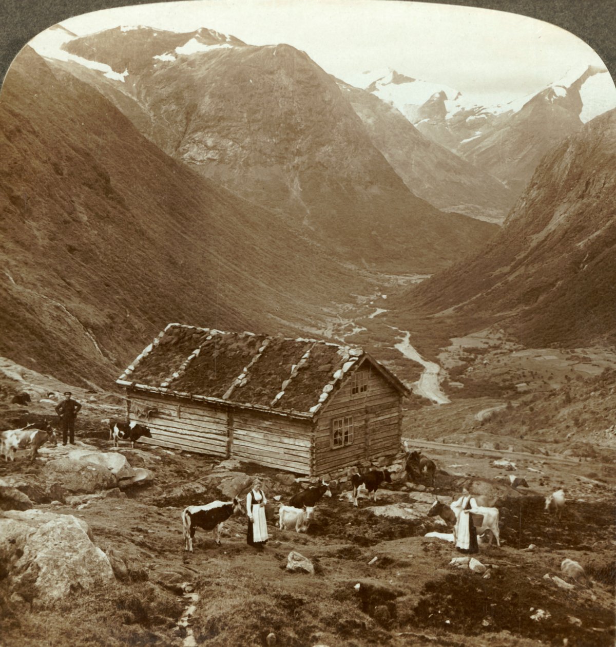 Da pousada na montanha em Vidde saeter no vale Vidde - MT. Skaala na distância certa, c1905. de Unbekannt