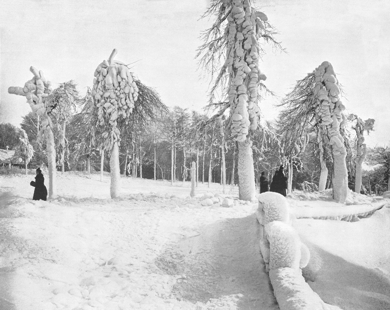 Trabalho de Frost no Prospect Park, Niagara, EUA, c1900. de Unbekannt