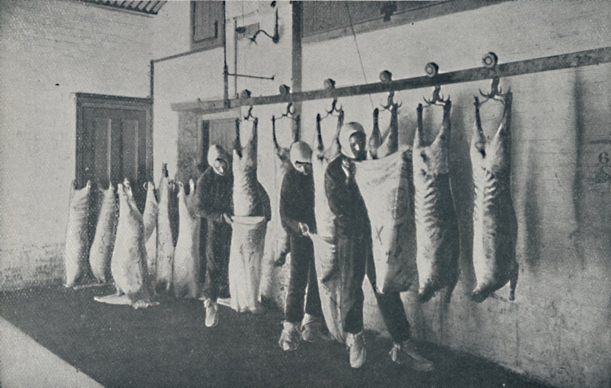 Carne Congelada, 1910 de Unbekannt