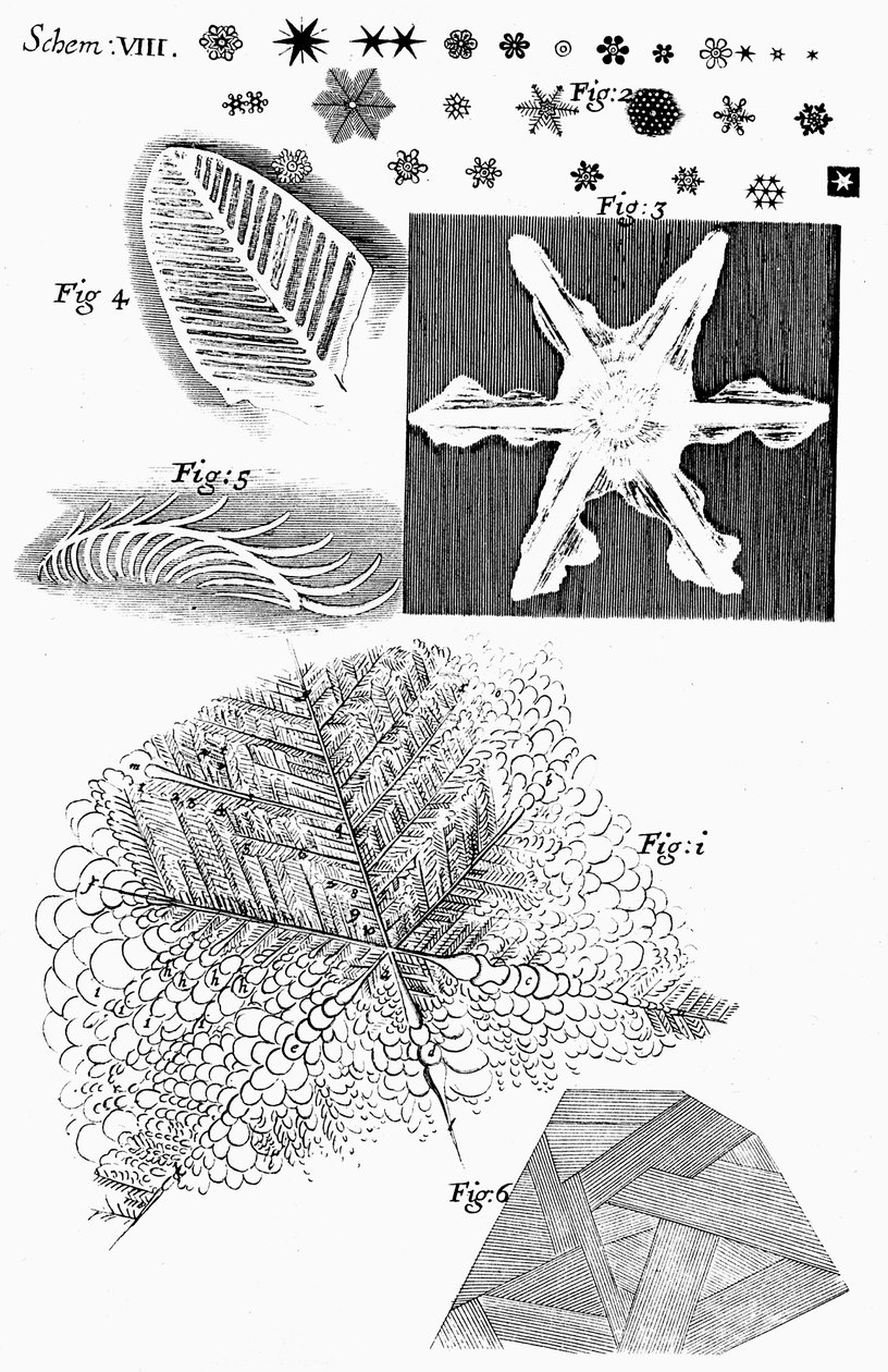 Materiais congelados vistos pelo microscopista inglês Robert Hooke, 1665 de Unbekannt