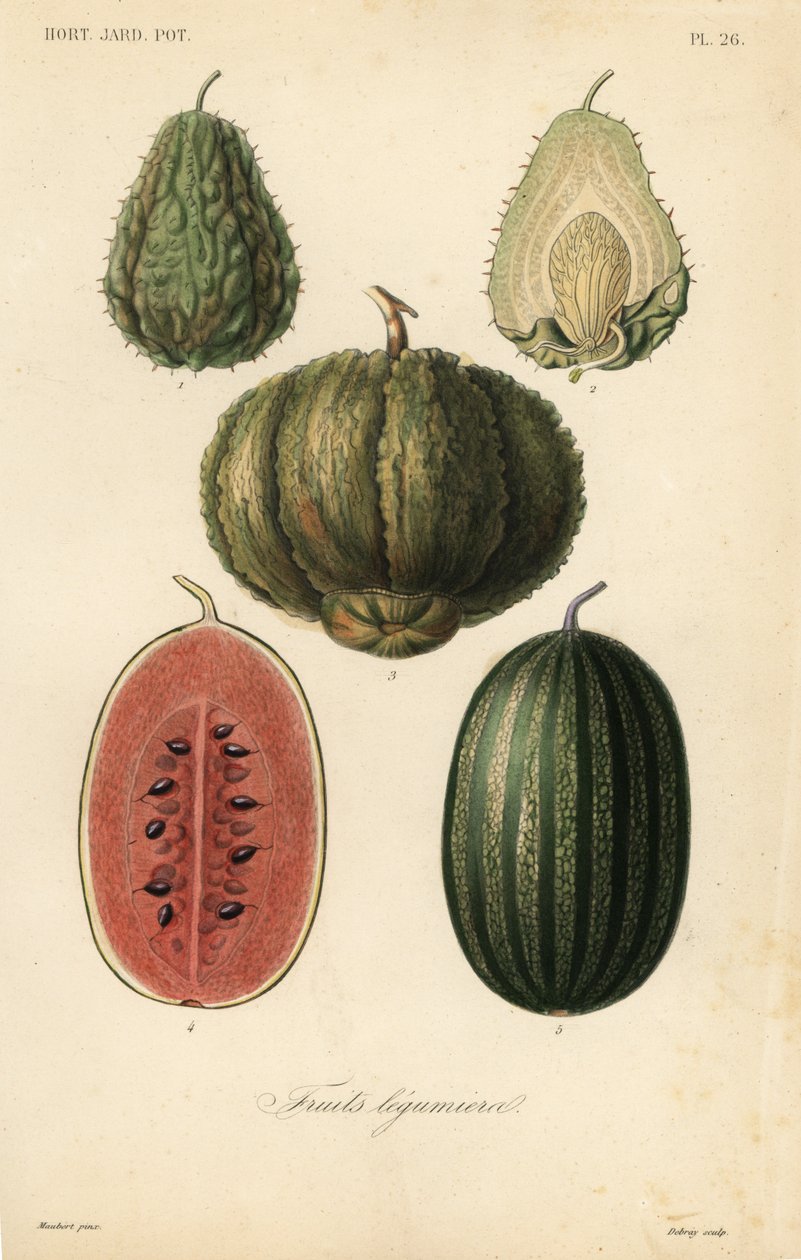 Frutas, legumes e hortaliças de Unbekannt