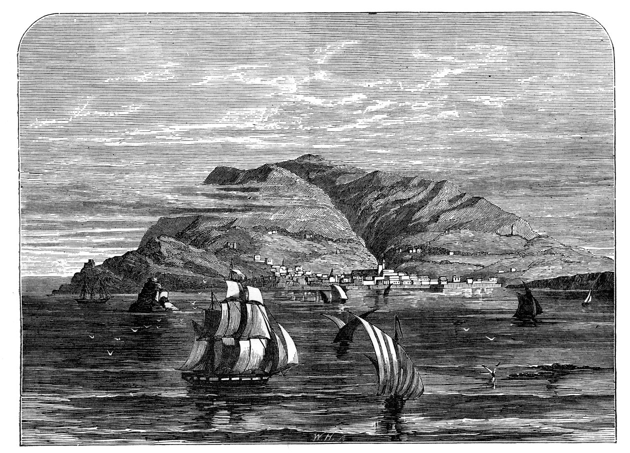 Funchal, Madeira, c1890 de Unbekannt