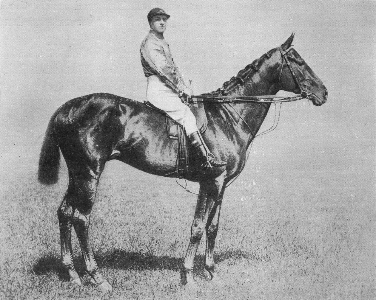 Galtee More, 1894-1917, 1911 de Unbekannt