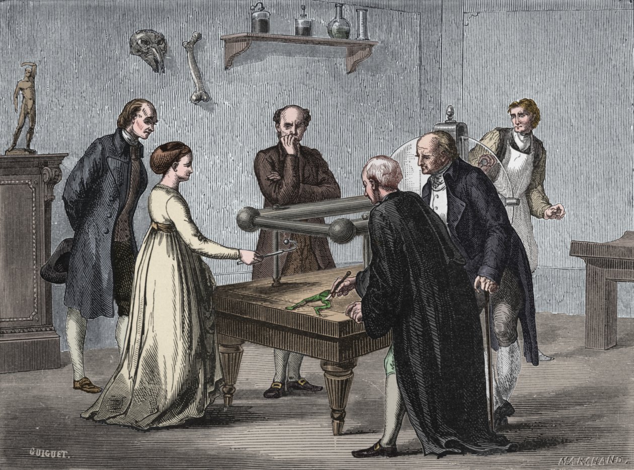 Descoberta galvanizada, 1780 1894 de Unbekannt