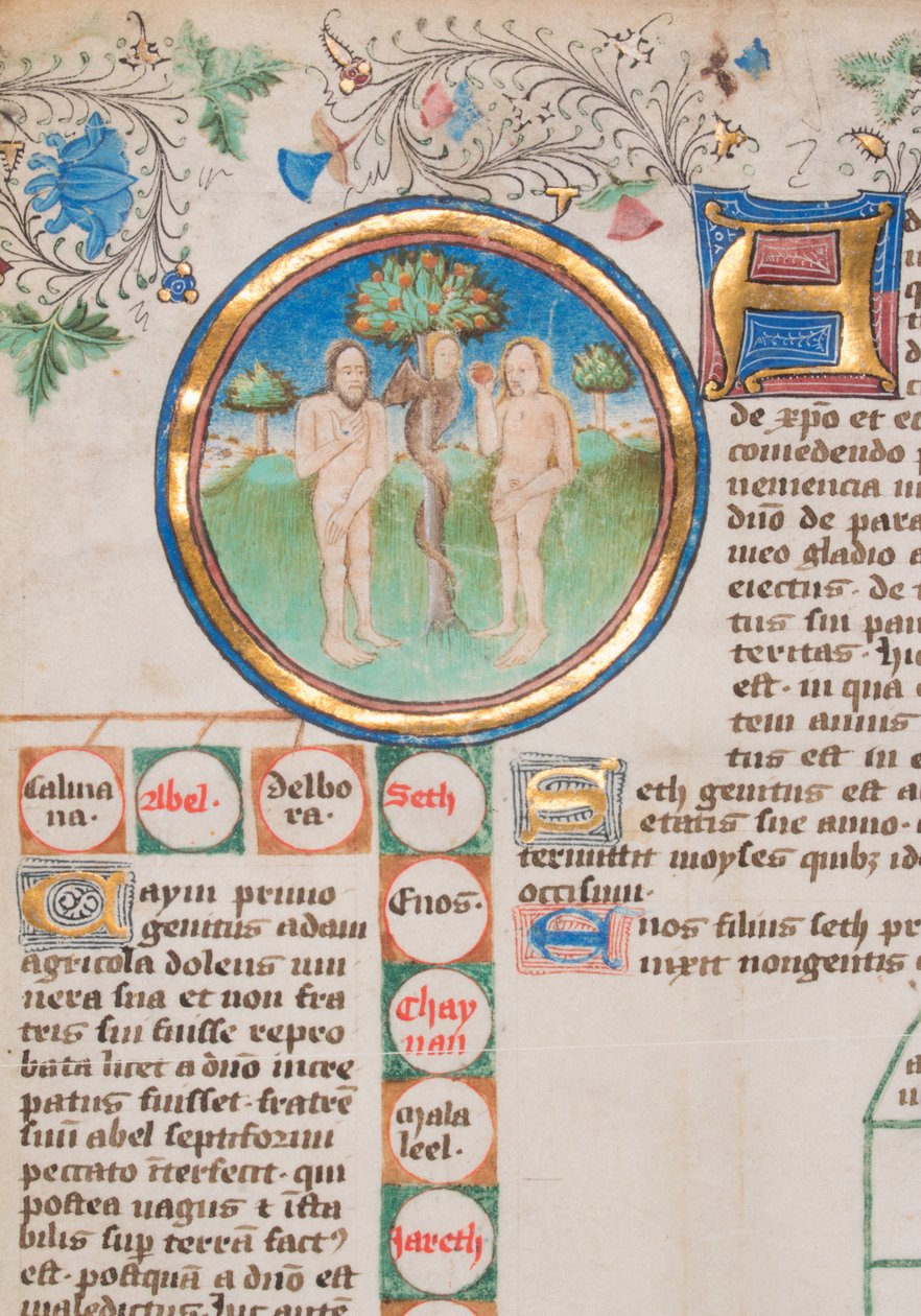 Crônica Genealógica dos Reis da Inglaterra, 1466-67. de Unbekannt