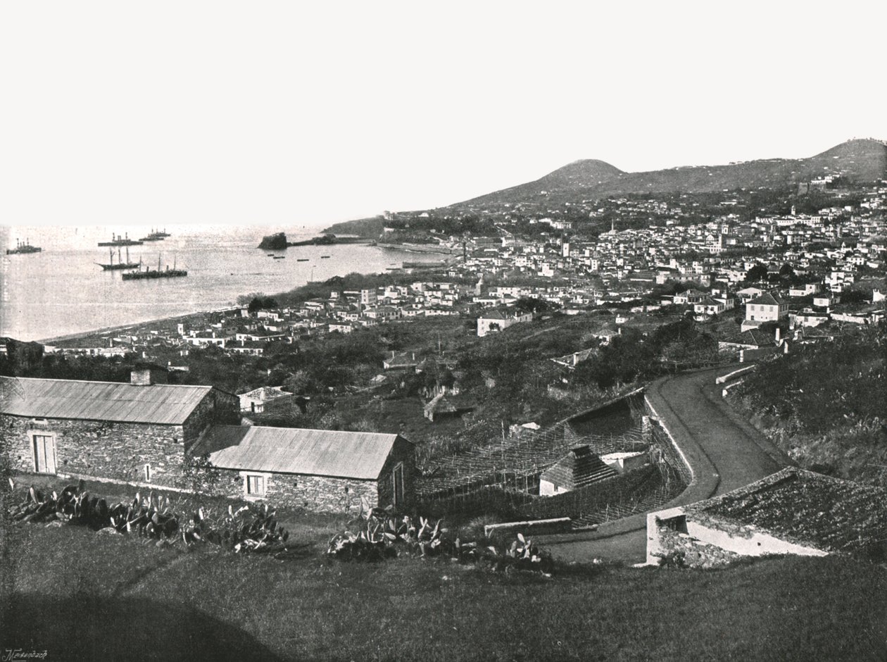 Vista geral do Funchal, Madeira, Portugal, 1895. de Unbekannt