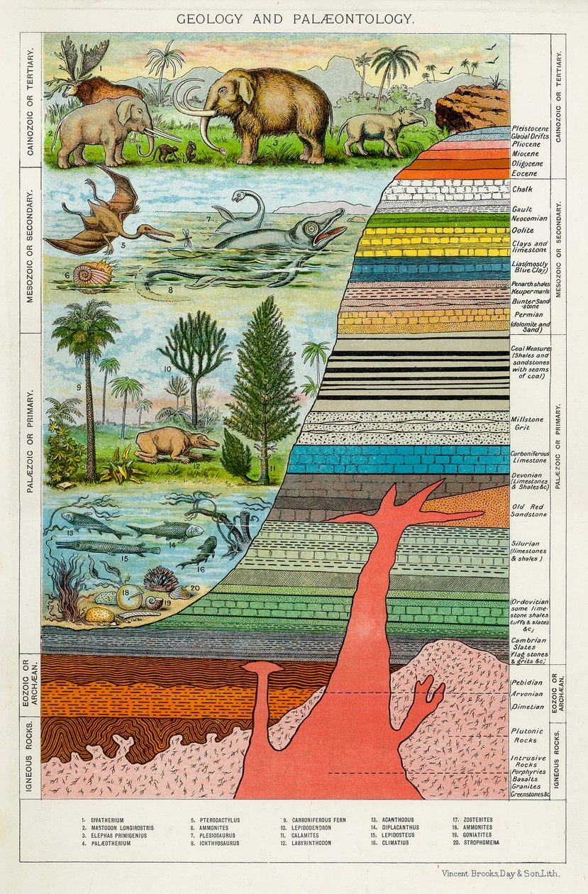 Geologia e Paleontologia, c1880 de Unbekannt