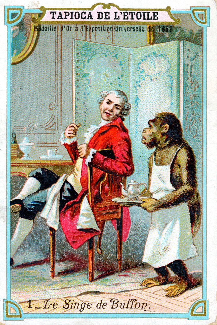 George-Louis Leclerc, conde de Buffon, naturalista francês do século XVIII, c1890 de Unbekannt