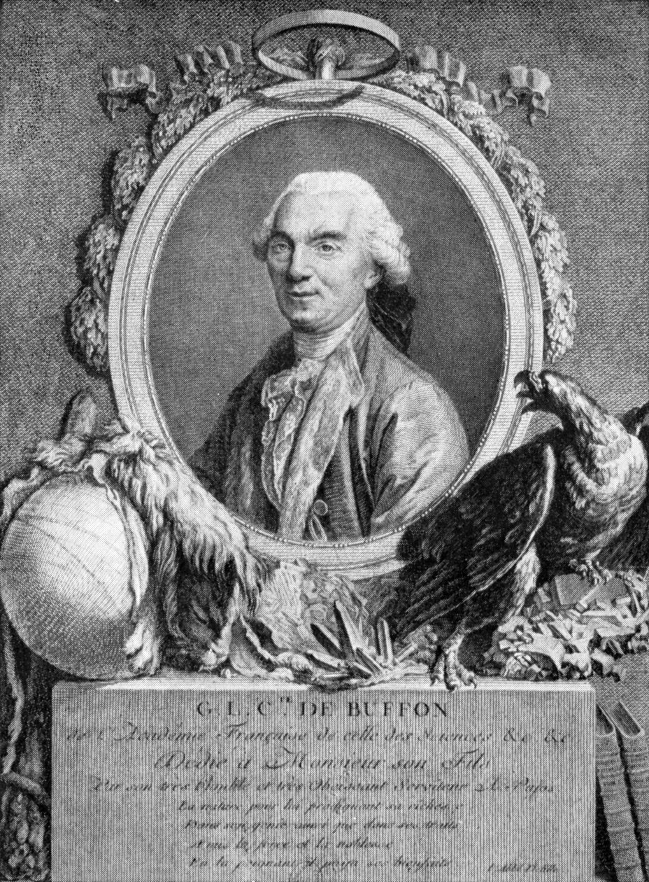 Georges-Louis Leclerc, conde de Buffon, naturalista francês, século XVIII de Unbekannt