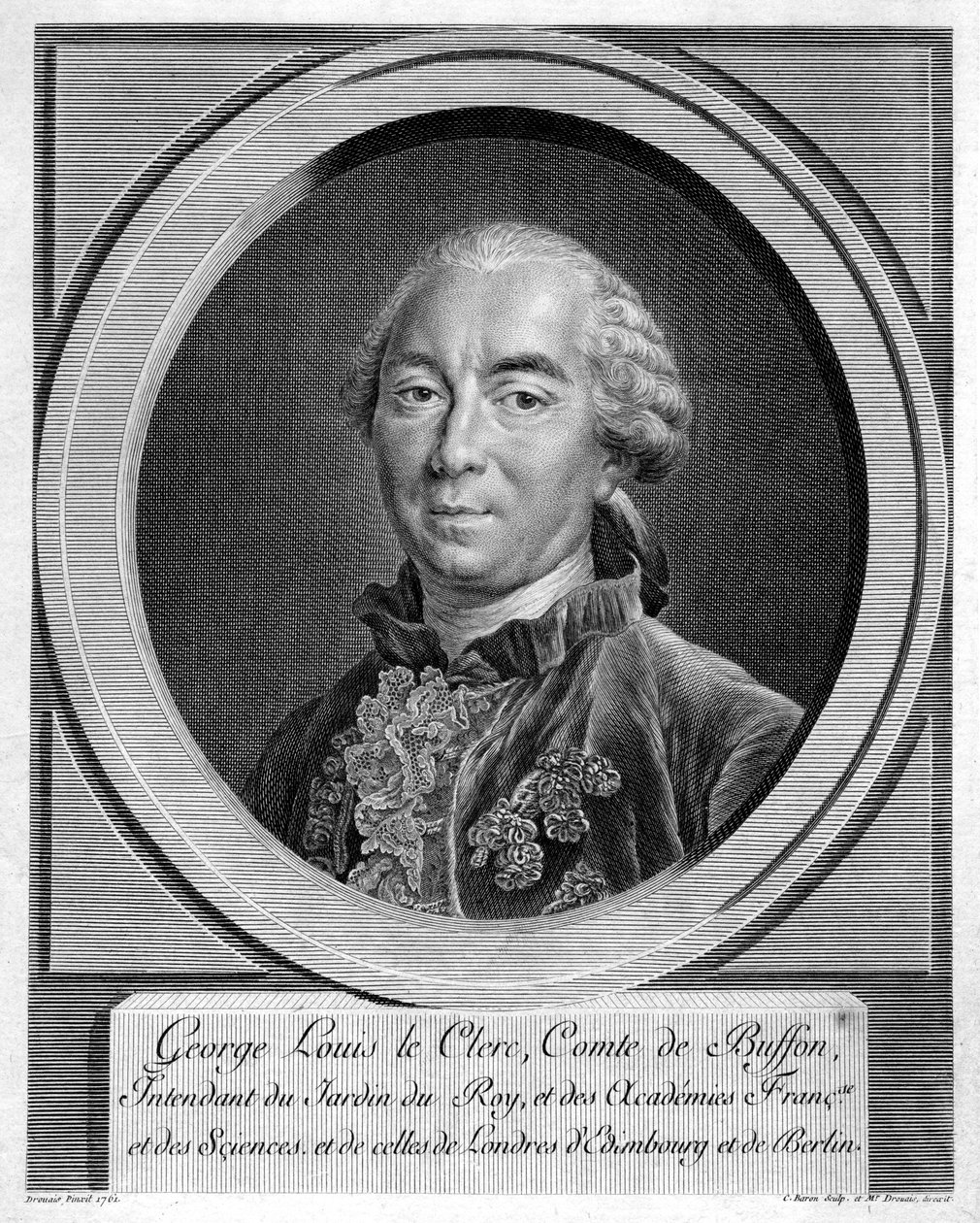 Georges-Louis Leclerc, conde du Buffon, naturalista francês, 1761 de Unbekannt