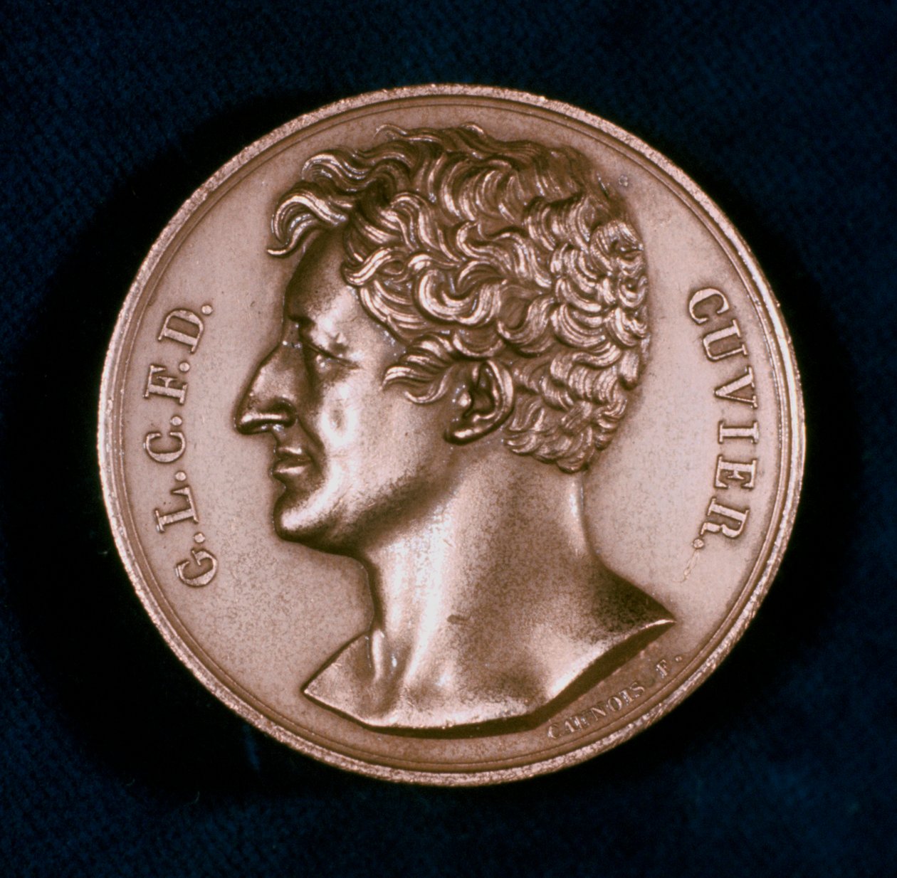 Georges Leopold Chretien Frederic Dagobert, Barão Cuvier, anatomista francês, século XIX de Unbekannt