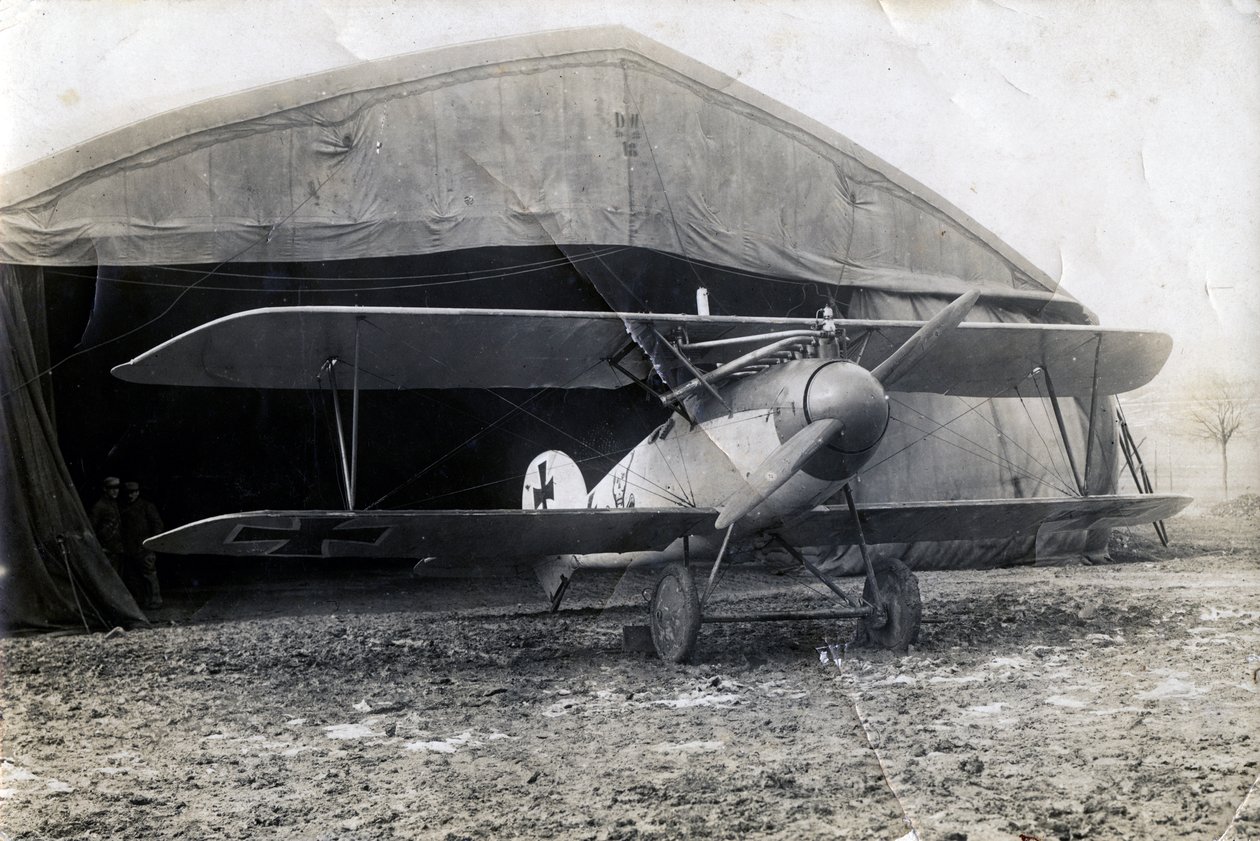 Albatros alemão DV, Souilly, França, 2 de janeiro de 1918 de Unbekannt