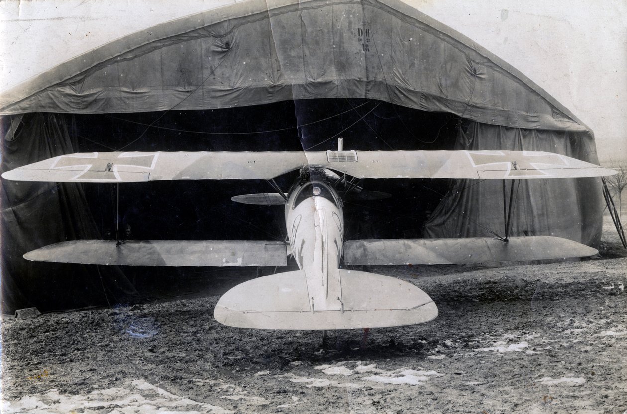 Albatros alemão DV, Souilly, França, 2 de janeiro de 1918 de Unbekannt