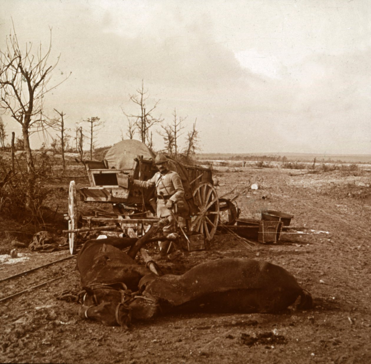 Veículo puxado a cavalo alemão, Tahure, norte da França, c1914-c1918 de Unbekannt