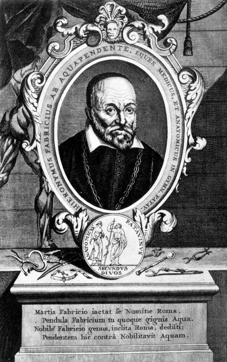 Girolamo Fabrici, anatomista e cirurgião italiano, século XVII de Unbekannt