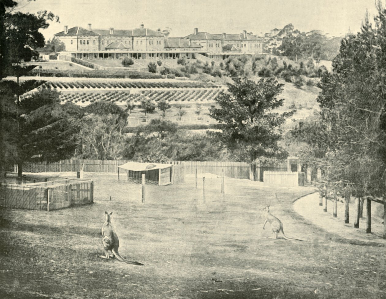 Asilo de Gladesville para os Insanos, Nova Gales do Sul, 1901. de Unbekannt