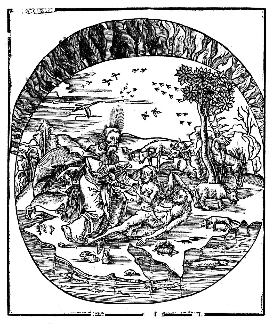 Deus criando Eva a partir da costela de Adams, 1508 de Unbekannt