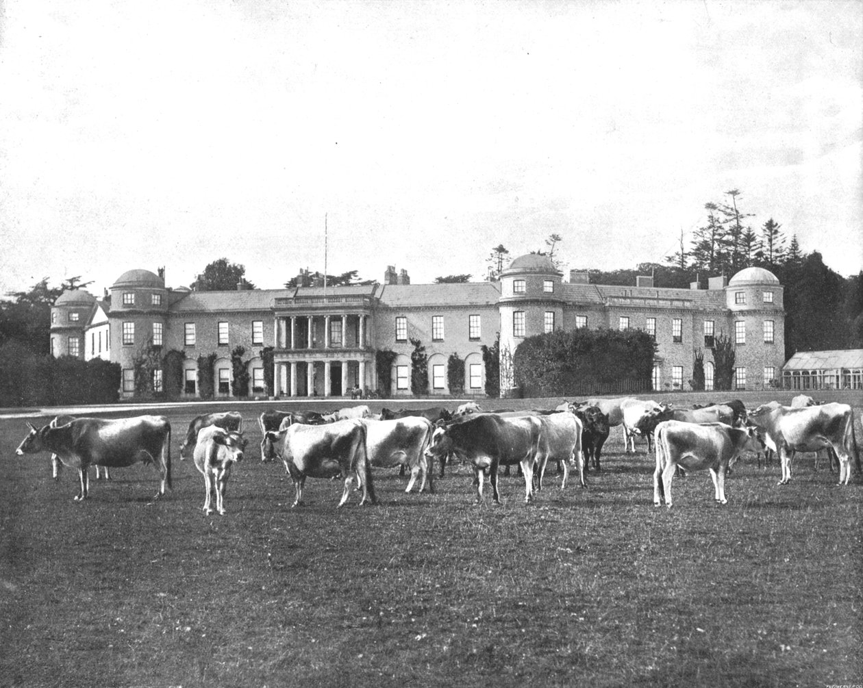 Goodwood, Hampshire, 1894. de Unbekannt